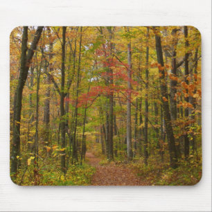 Laurel Hill Trail in Fall Mouse Pad
