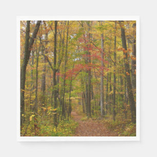 Laurel Hill Trail in Fall Napkin