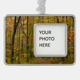 Laurel Hill Trail in Fall Silver Plated Framed Ornament