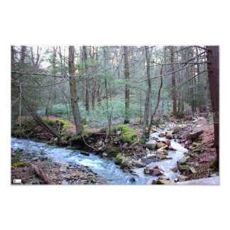 Laurel Run Photo Print