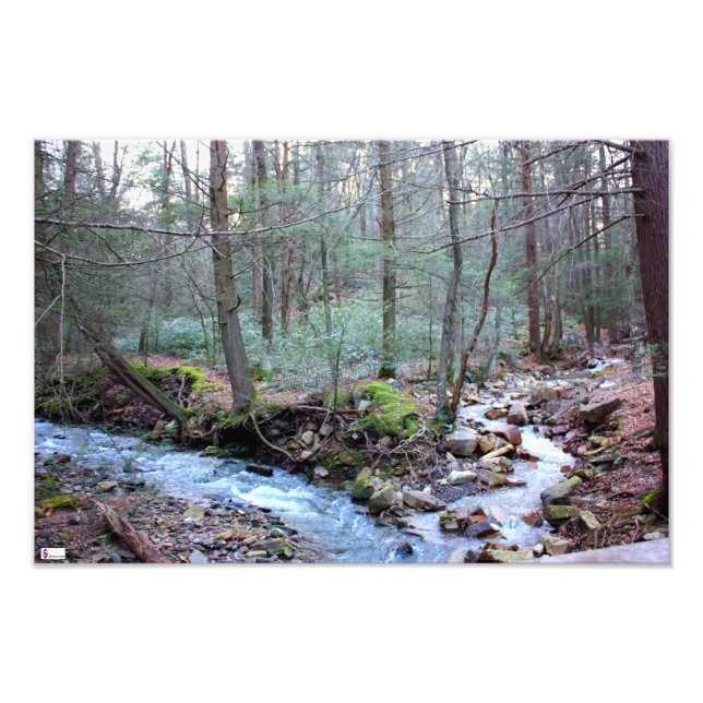 Laurel Run Photo Print (Front)