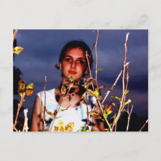 LaurenPostcard1 Postcard