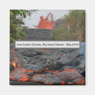 Lava 2018 Magnet