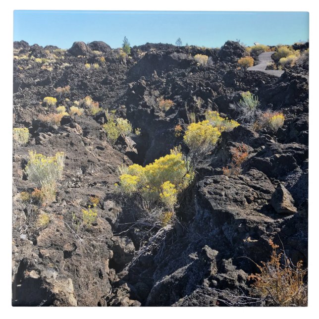 Lava Butte Trail, OR Ceramic Tile (Front)