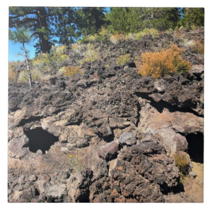 Lava Cast Forest, OR Ceramic Tile