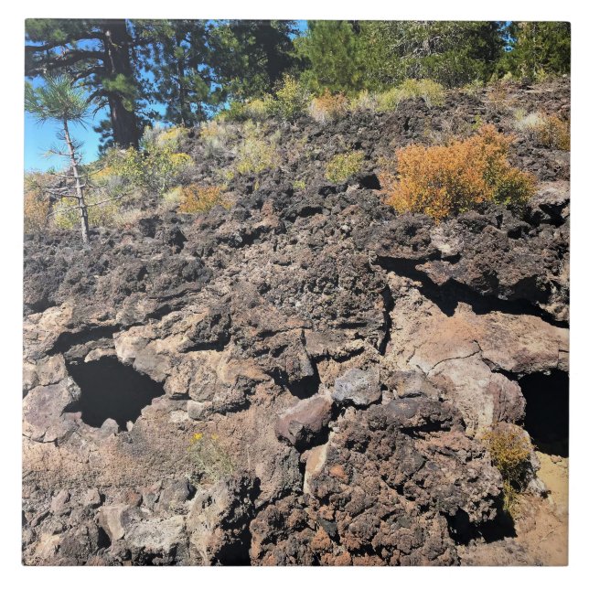 Lava Cast Forest, OR Ceramic Tile (Front)