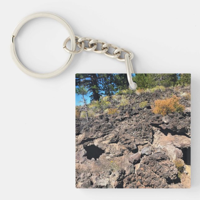 Lava Cast Forest, OR Key Ring (Front)