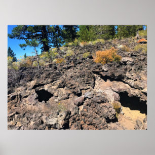 Lava Cast Forest, OR Poster