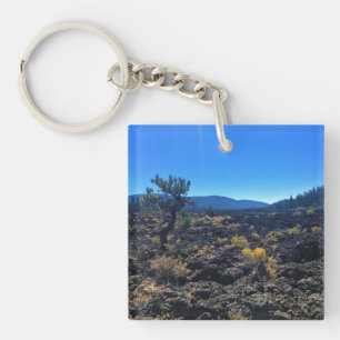 Lava Cast Forest, Oregon Key Ring
