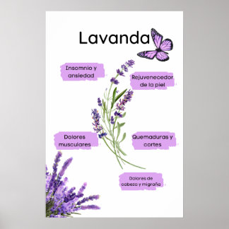 Lavanda y sus beneficios en español poster