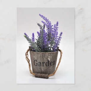 lavander postcard