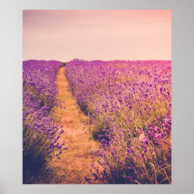 Lavander Poster (Front)