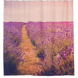 Lavander Shower Curtain