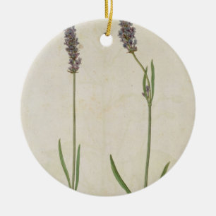 Lavandula officinalis (Old English Lavender), c.15 Ceramic Ornament