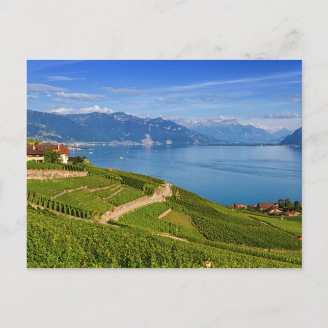Lavaux region, Vaud, HDR Postcard (Front)
