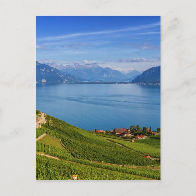 Lavaux region, Vaud, HDR Postcard (Front)