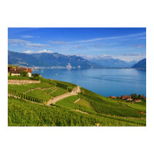 Lavaux region, Vaud, Switzerland