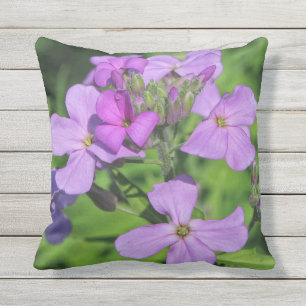Lavendar Dame’s Rocket Spring 2016 Outdoor Cushion