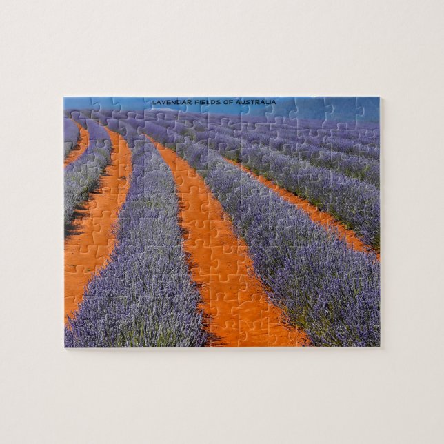 Lavendar Fields of Australia Jigsaw Puzzle (Horizontal)