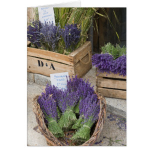 Lavendar for sale, Provence, France