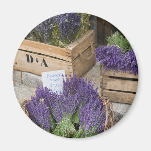 Lavendar for sale, Provence, France Magnet