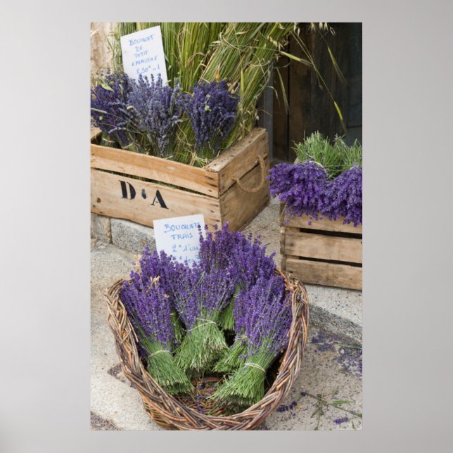 Lavendar for sale, Provence, France Poster (Front)