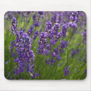 Lavendar Lavendel Mouse Pad