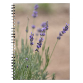 Lavendar Notebook/Journal Notebook