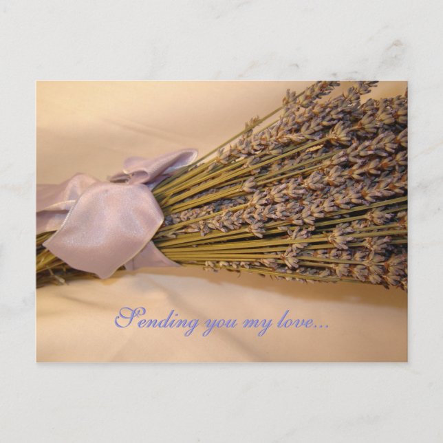 Lavendar Postcard (Front)