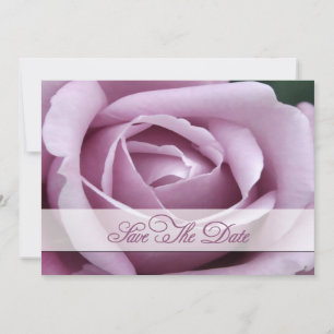 Lavendar  Rose Save the date