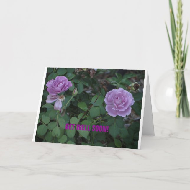 Lavendar Roses/Get Well Card (Front)