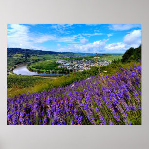 Lavender along the Moselle in Germany Poster