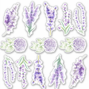 Lavender and hydrangea set sticker