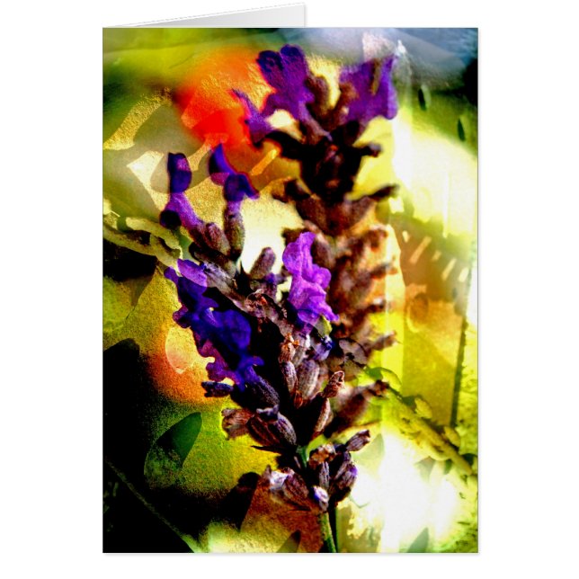 Lavender and Rust Collage - Card (Front)