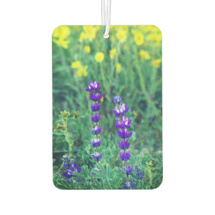 Lavender and Yellow Daisy Car Air Freshener