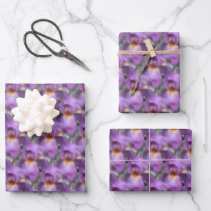 Lavender Bearded Iris Flower Nature Pattern  Wrapping Paper Sheet