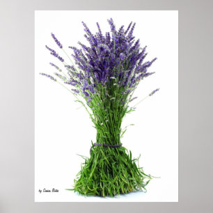 Lavender bouquet poster