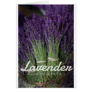 Lavender Bunch