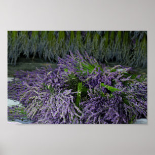 Lavender Bundles Poster