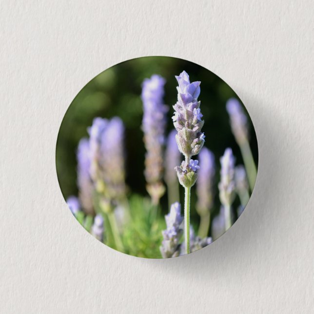 Lavender Button / Badge (Front)