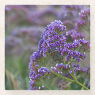 Lavender by the ocean glass coaster