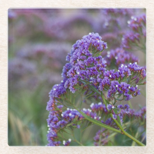 Lavender by the ocean glass coaster (Front)