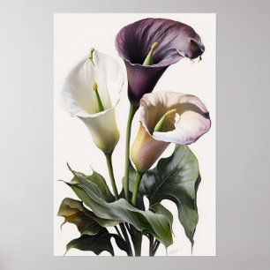 Lavender Calla Lilies Lily Flower Art Print Poster