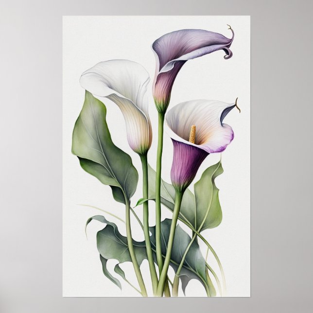 Lavender Calla Lilies Lily Flower Art Print Poster (Front)