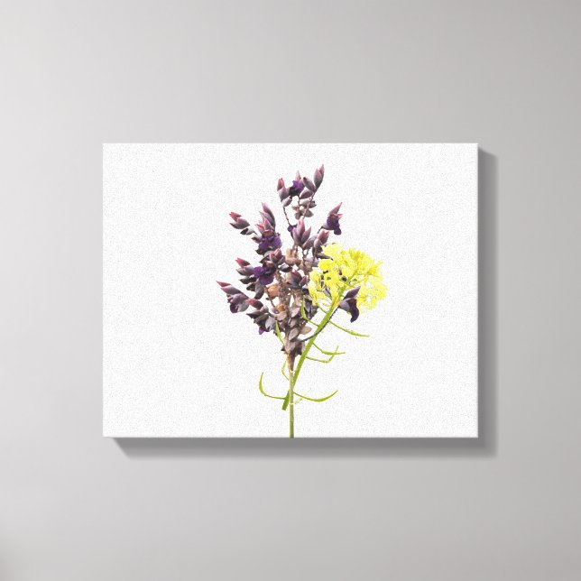 Lavender Canvas Print (Front)