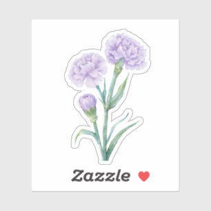 Lavender Carnation Botanical Watercolor CuLavender