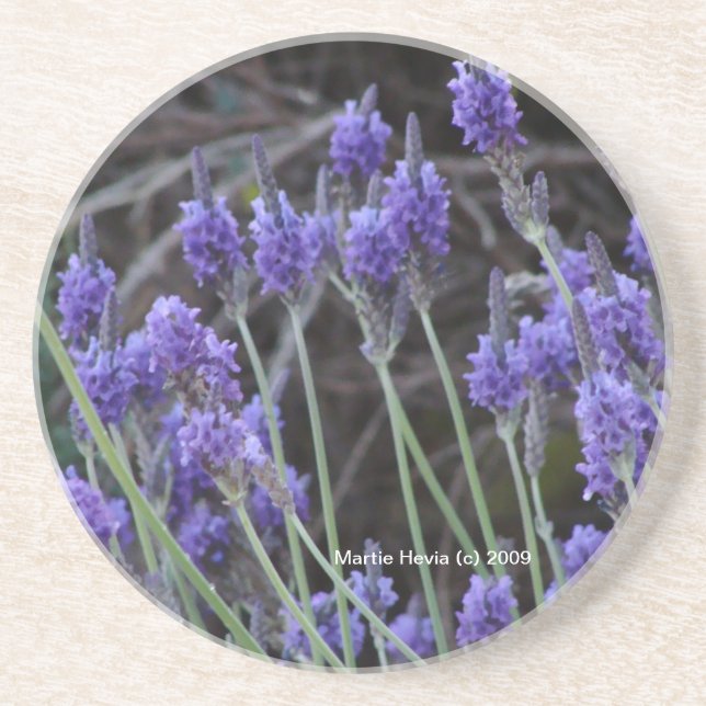 Lavender - Coaster (Front)