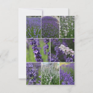 Lavender Collage 2  Card