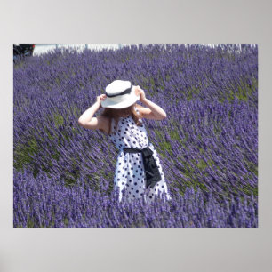 Lavender Days Poster