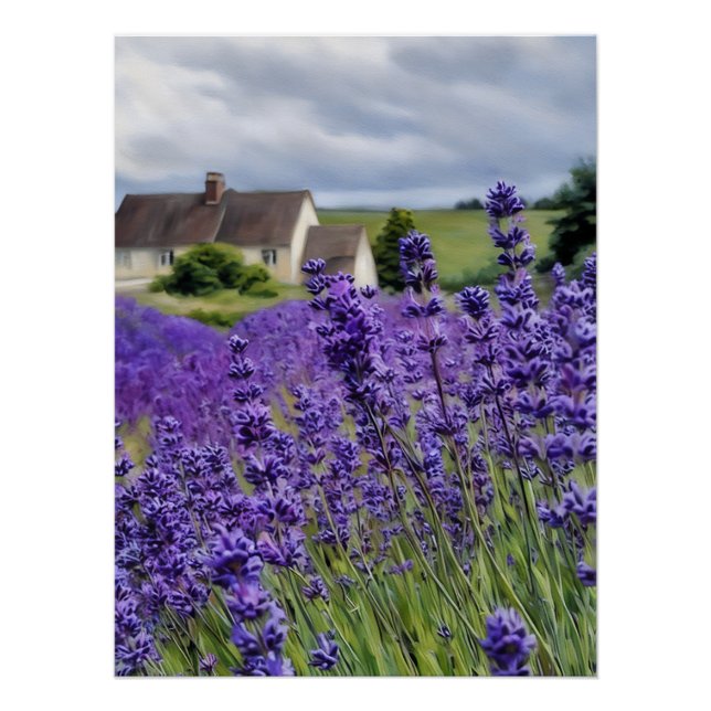 Lavender dreams poster (Front)